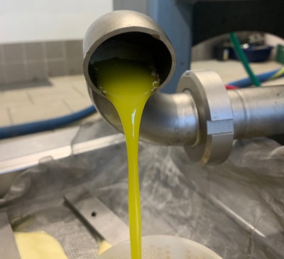 olive-olio-home